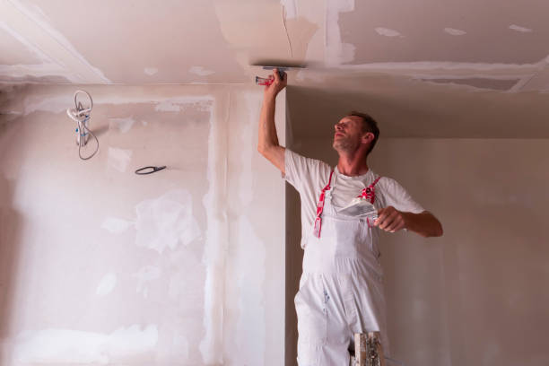 Best Drywall Sanding and Smoothing  in Pueblo, CO