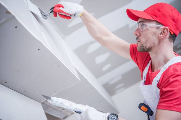 Best Ceiling Drywall Installation  in Pueblo, CO